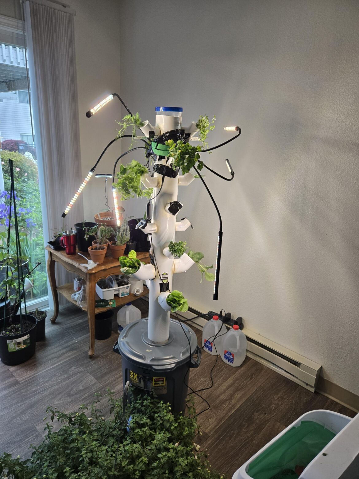 How often should I have my hydroponic tower running?