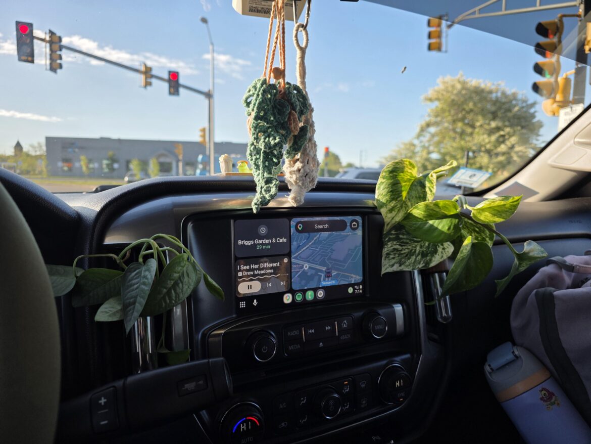My car pothos