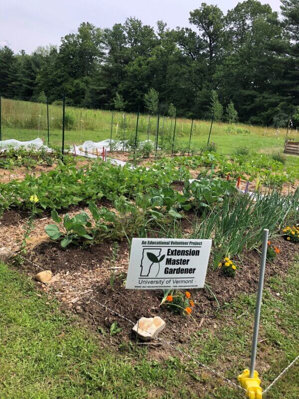 Photo by Debra Heleba.
This demonstration garden in Arlington teaches new gardeners how to raise vegetables.