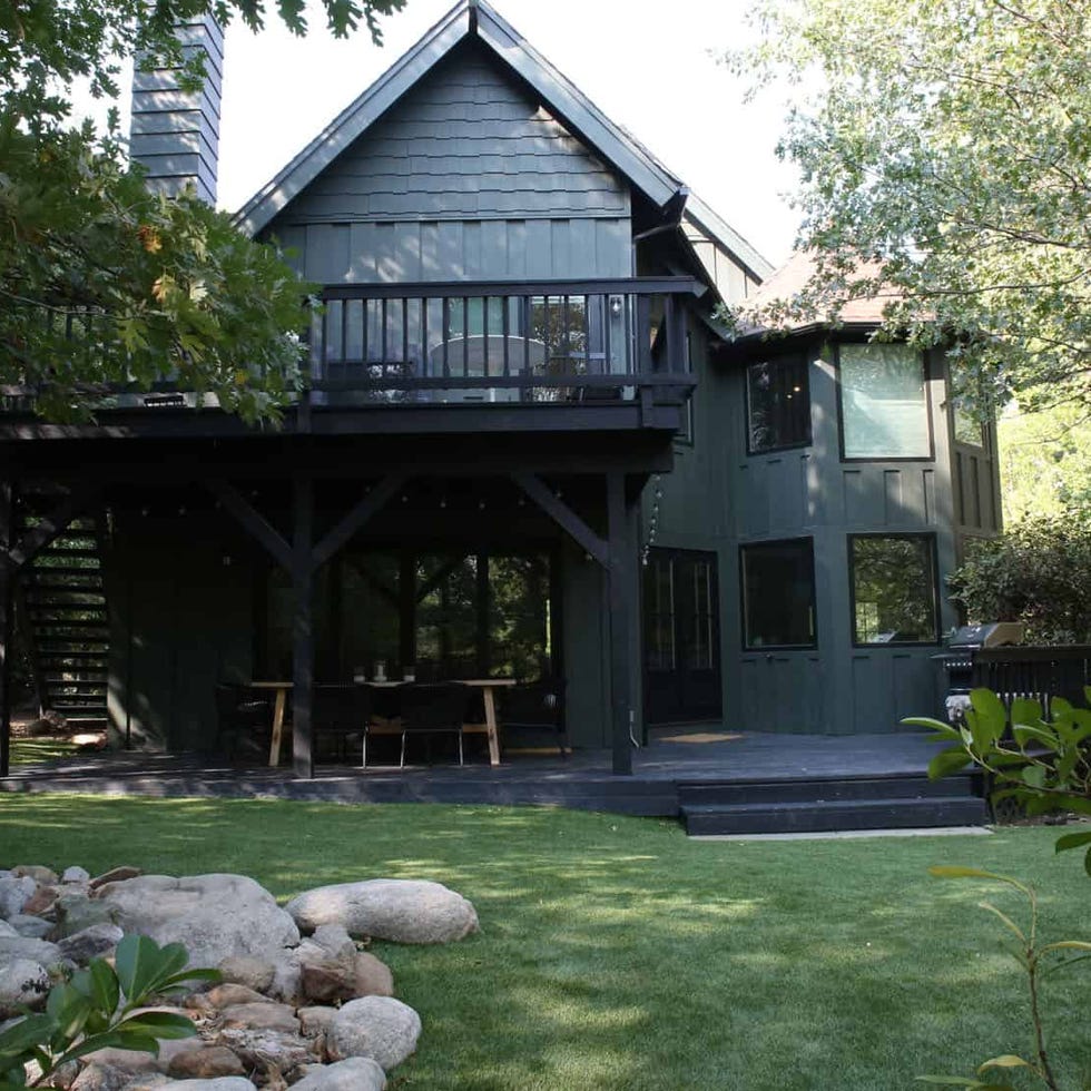 turf lawn turf lawn
