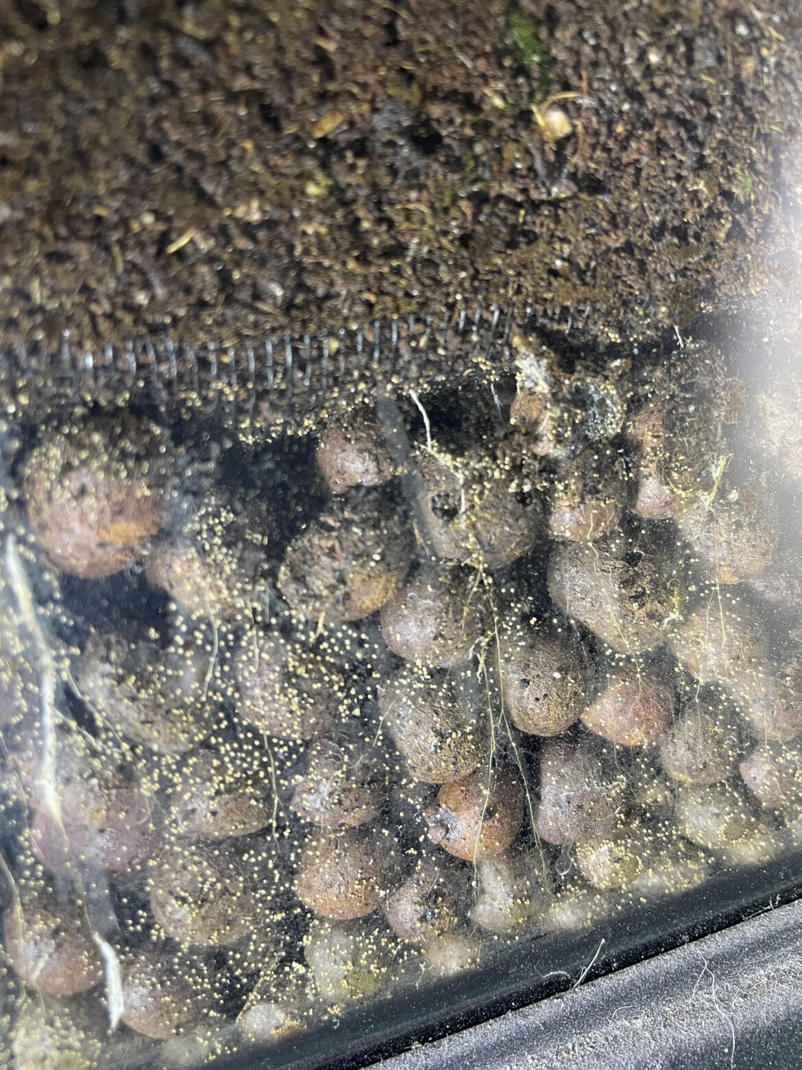 What are these dots?