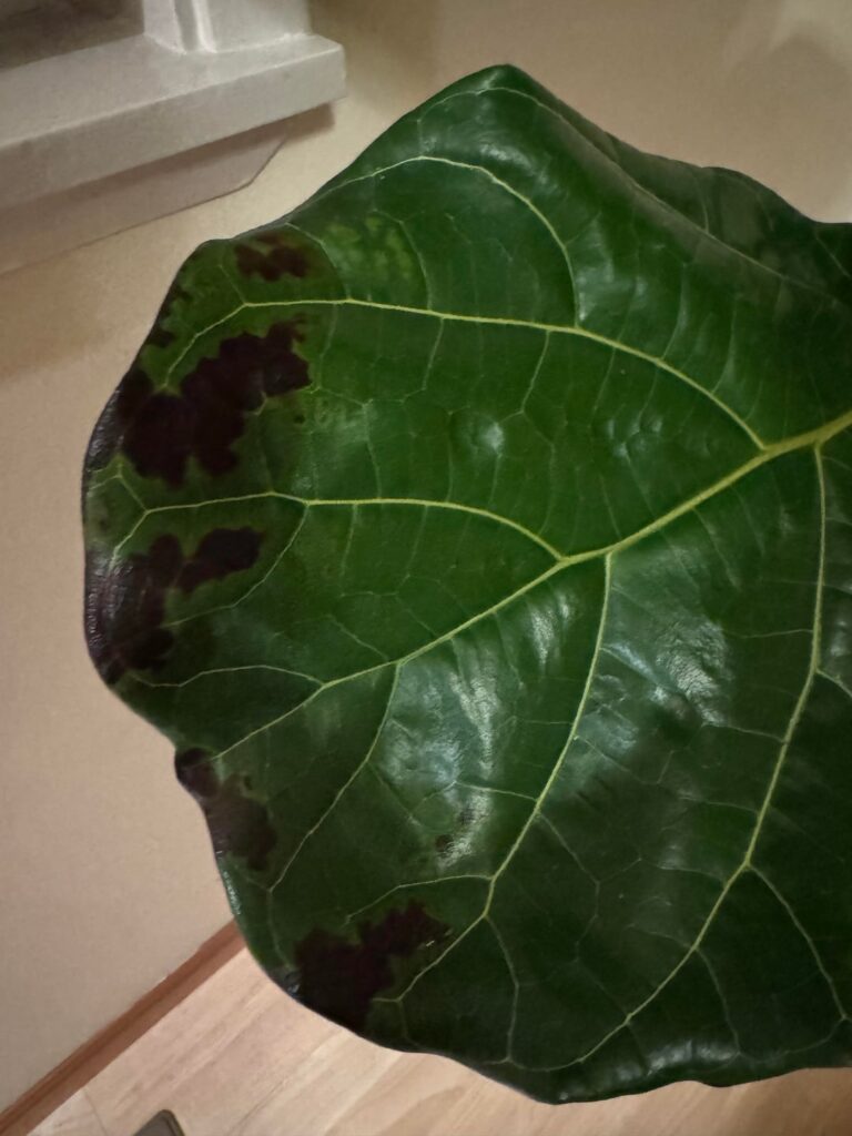 Help! I don’t know what to do next.