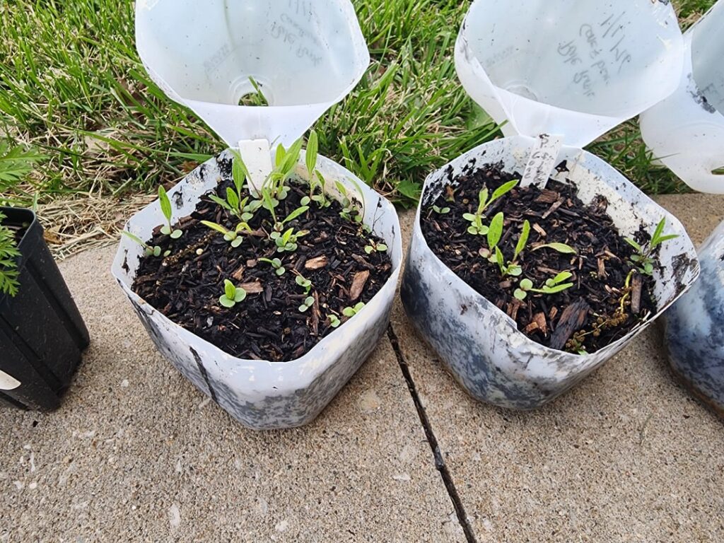 Good to put in the ground?
