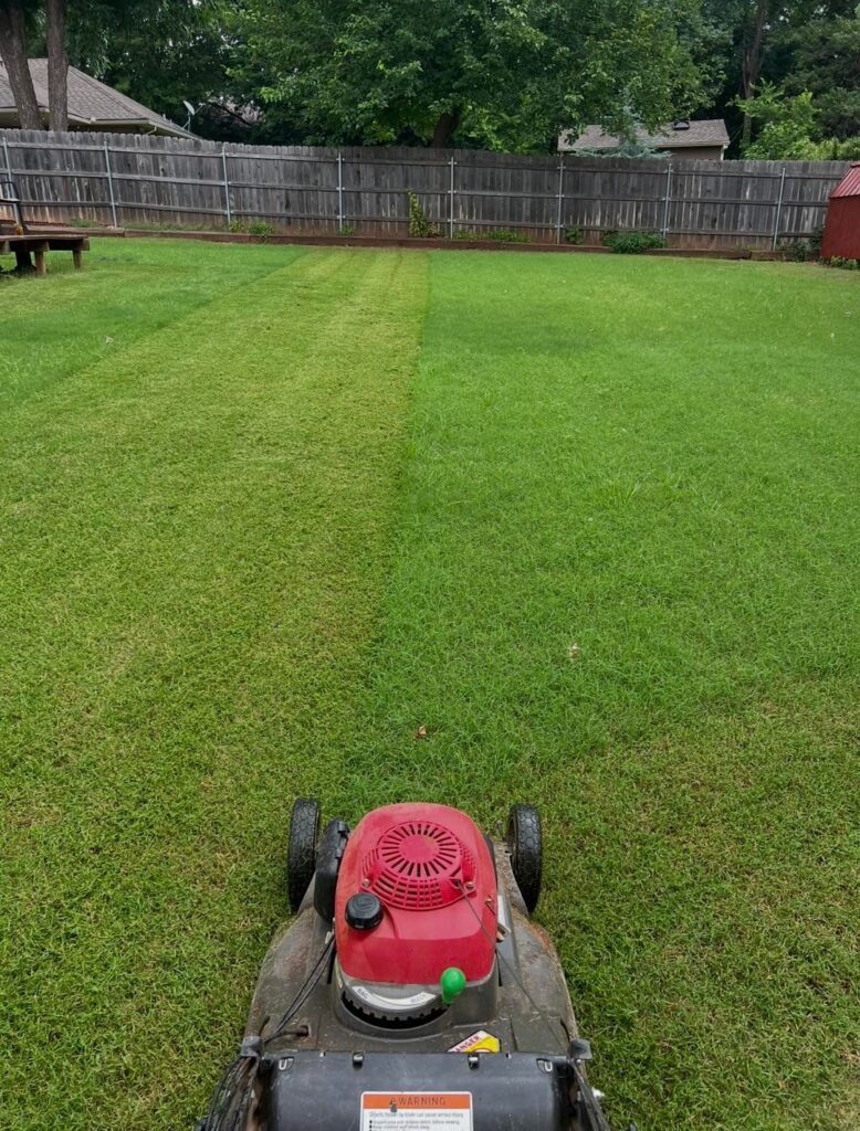 Bermuda yard last year vs this year. What happened?