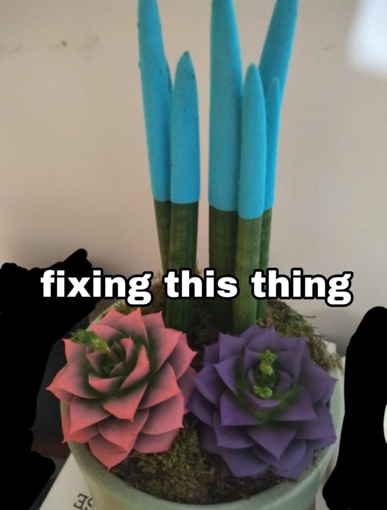 Update: blooming! Update: blooming!