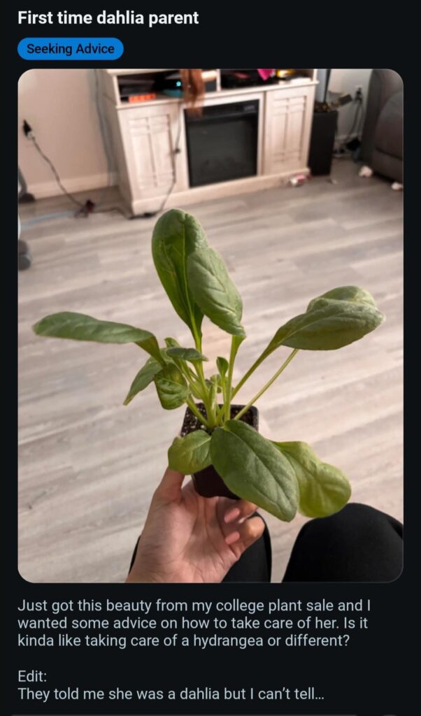 fooled again by zone 7b!!!