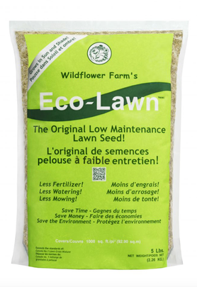 Wildflower's Eco-Lawn seed