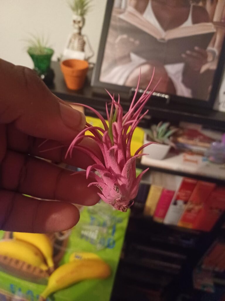 Is this color real or fake and what species is it?