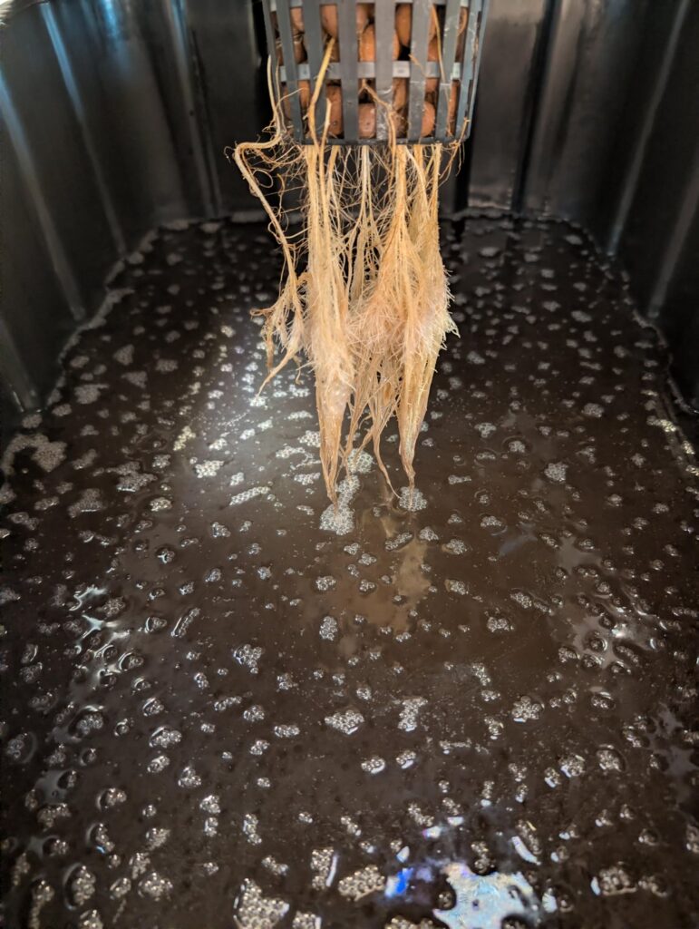 Need help with kratky tomato and overall indoor hydrophonic approach