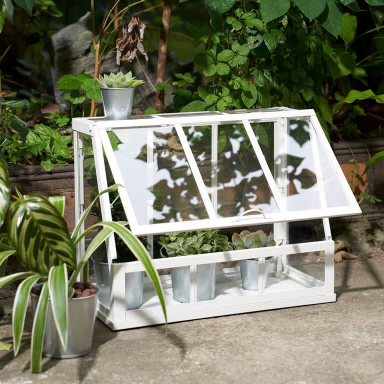 Åkerbär Greenhouse