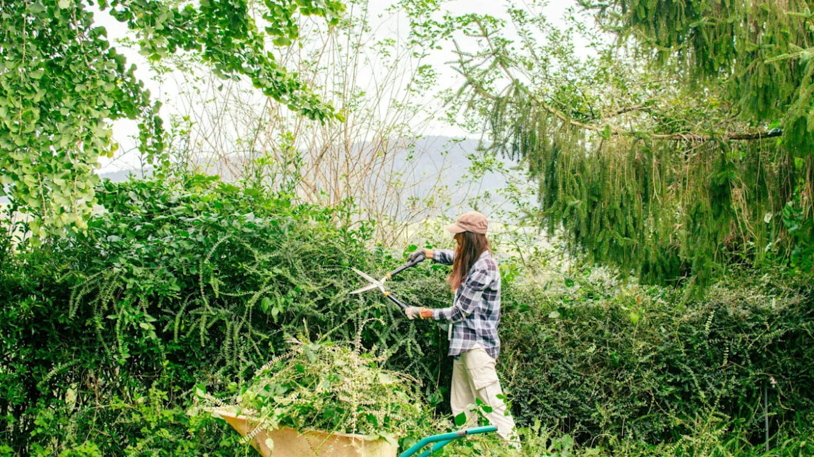 The Chaos Gardening Trend Is Slashing Maintenance Bills for Homeowners Yahoo lifestyle home
