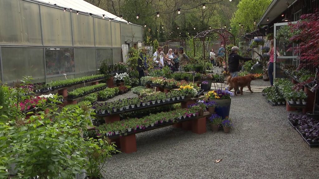 Creekside Gardens gives shoppers vibrant gift options for Mother’s Day Creekside Gardens gives shoppers vibrant gift options for Mother's Day