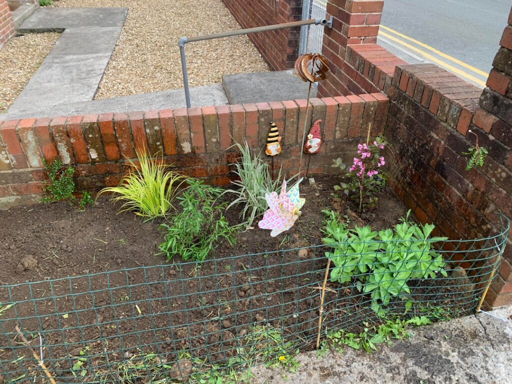 I have reclaimed my flower bed! Now i just need to keep on top of weeding it
