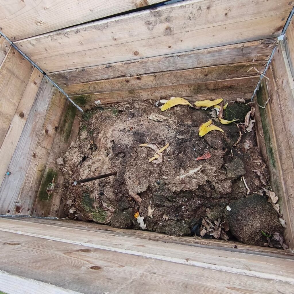 What are your thoughts on my compost?