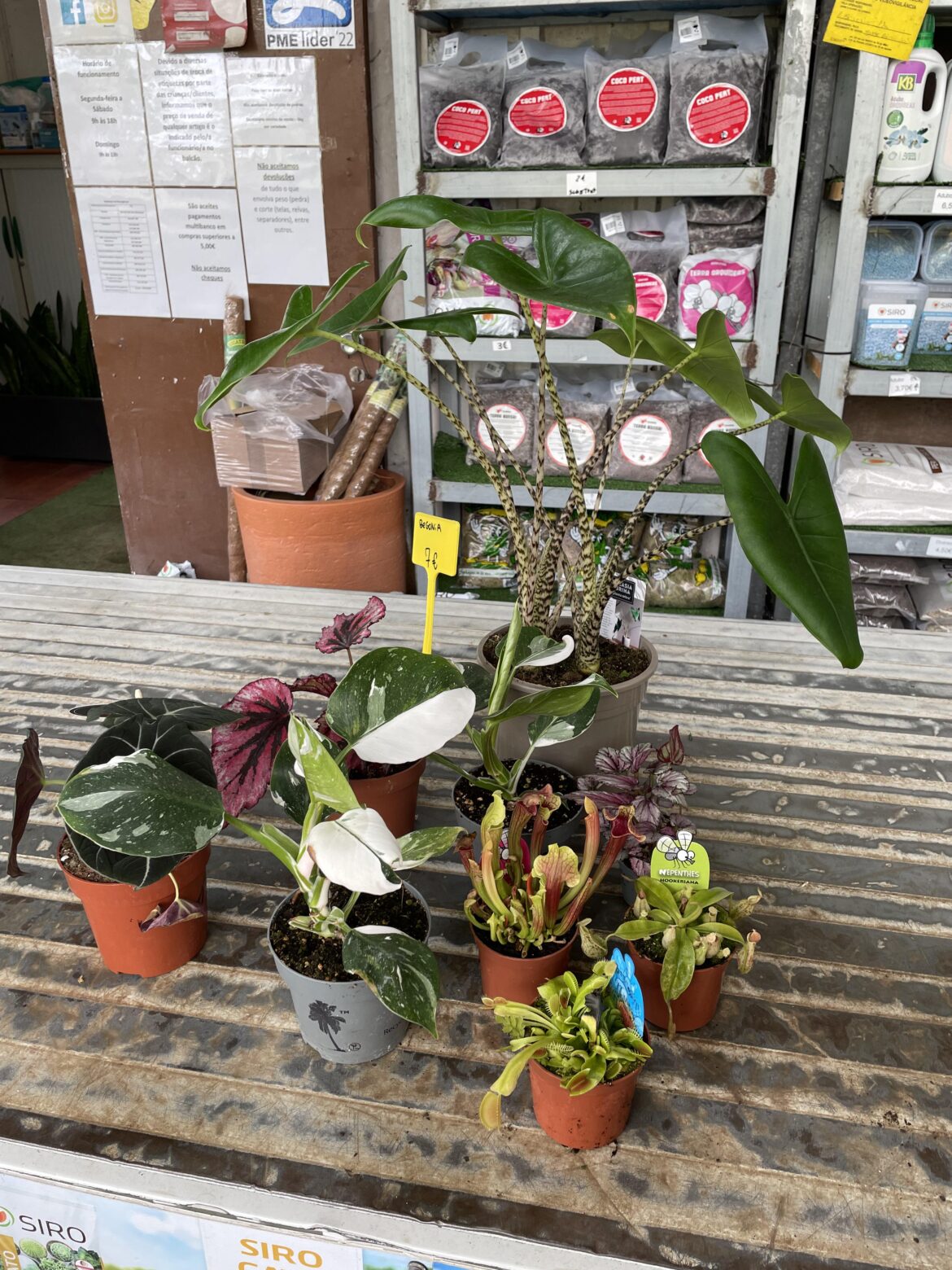 Today’s haul Today’s haul