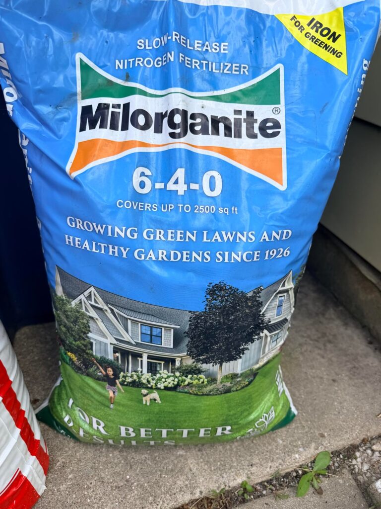 Are these any good? Got them for free