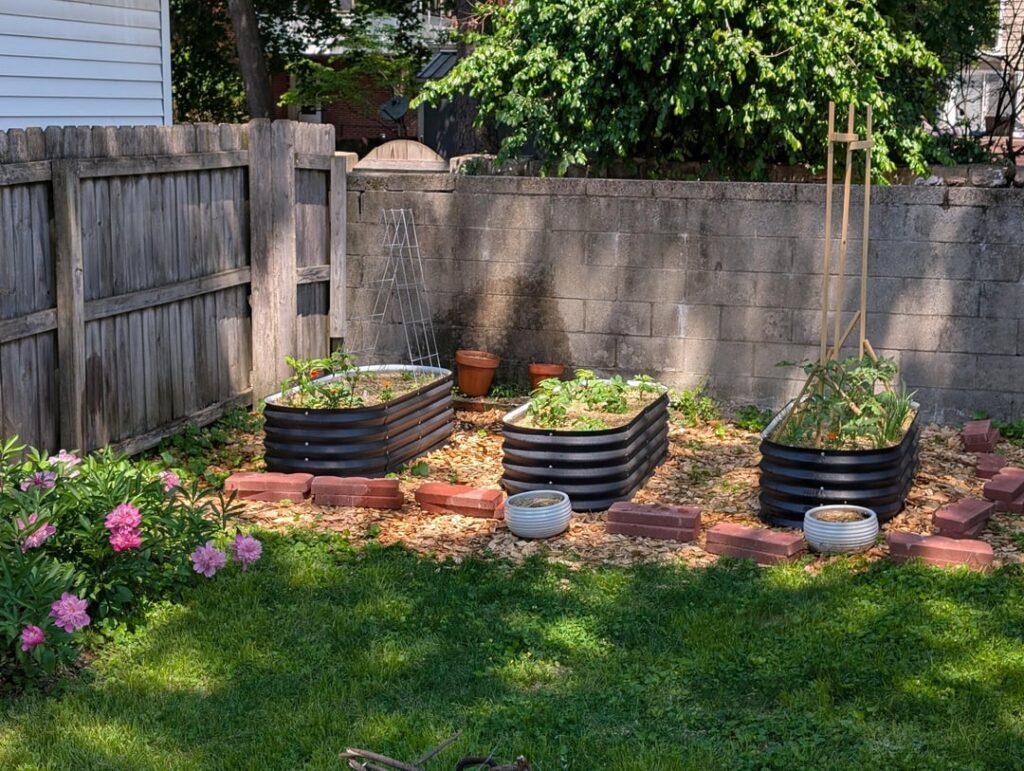 First time with a backyard (and plenty of space to garden)!