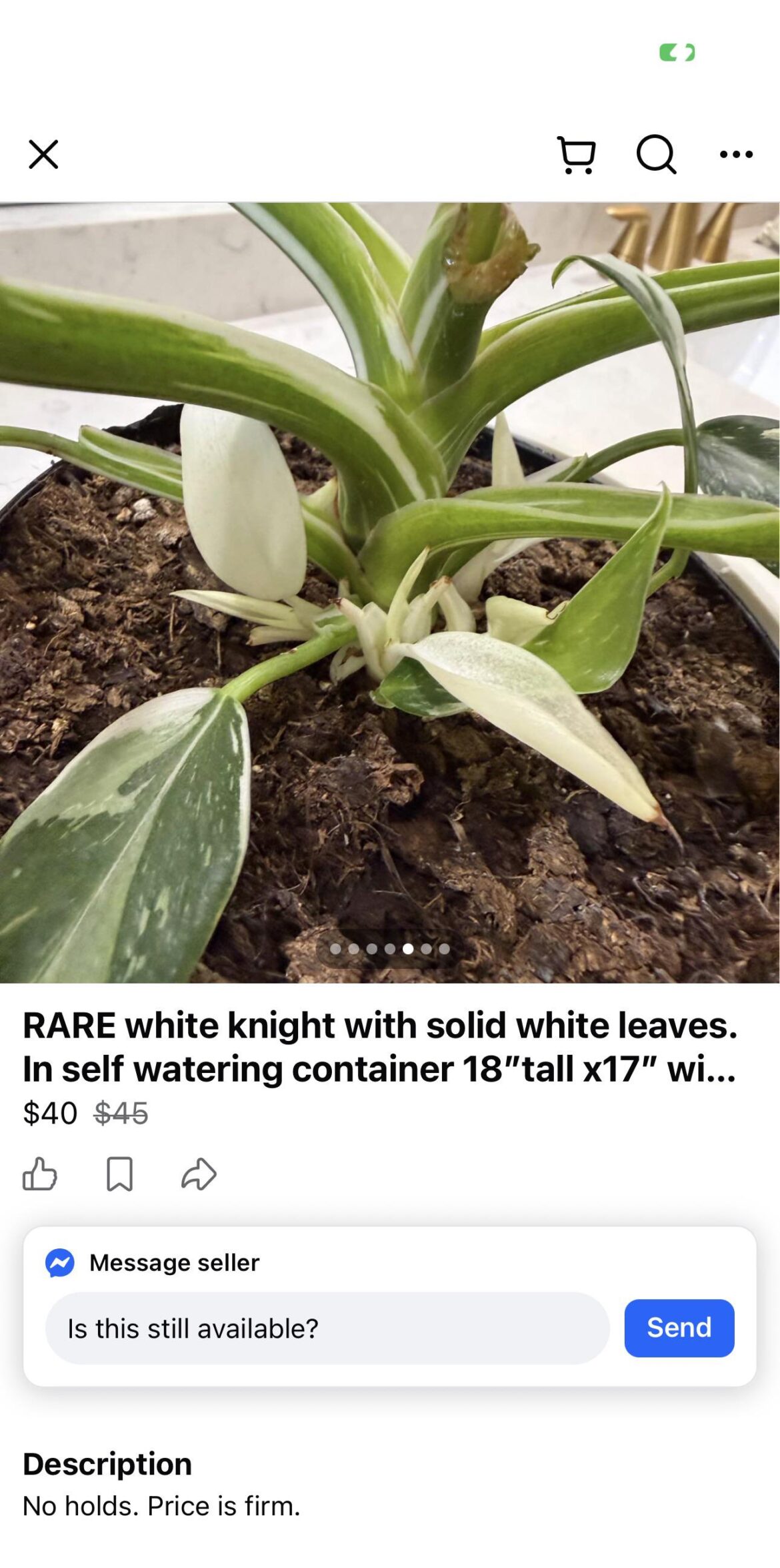 ***RARE*** all white vagination. No low ballers, I know what I got.