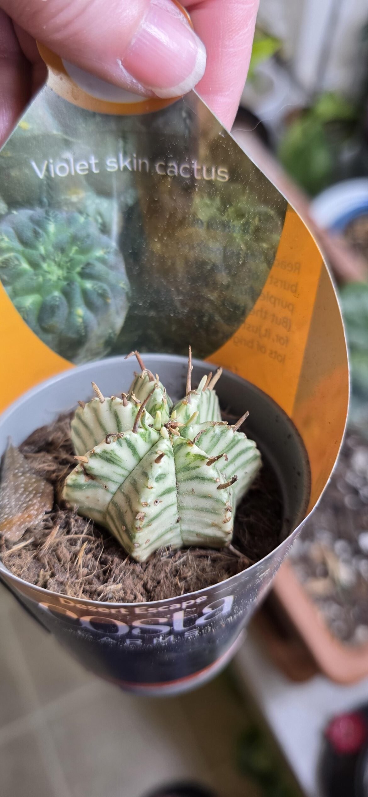 Just bought this beauty, I have a few questions Just bought this beauty, I have a few questions