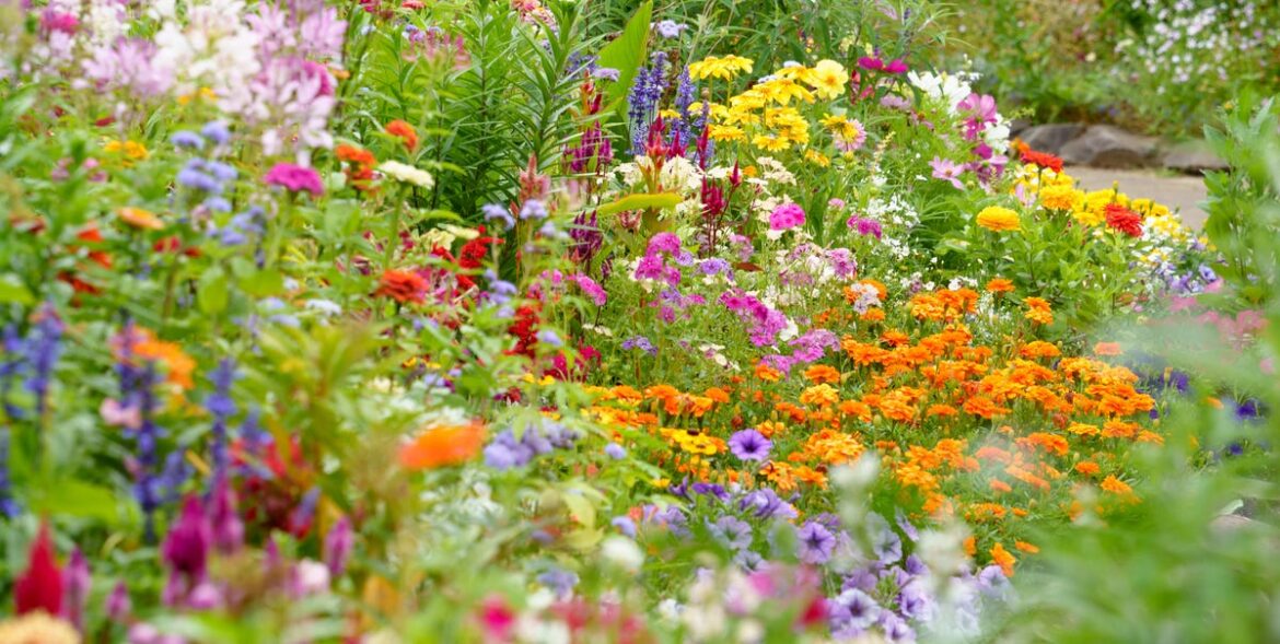 10 Old-Fashioned Flowers That Bring Grandma’s Garden Back To Life 10 Old-Fashioned Flowers That Bring Grandma’s Garden Back to Life