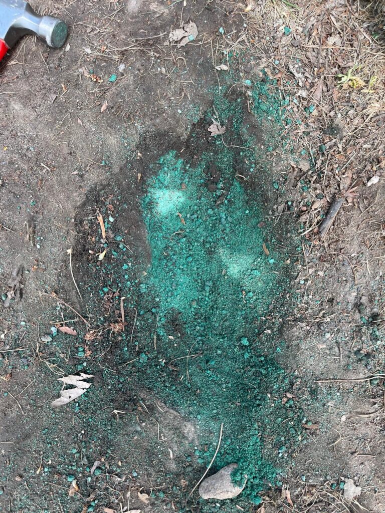 What is in my dirt? What is in my dirt?