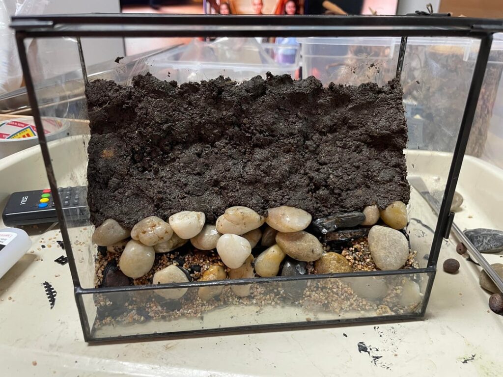 My first ever Paludarium!