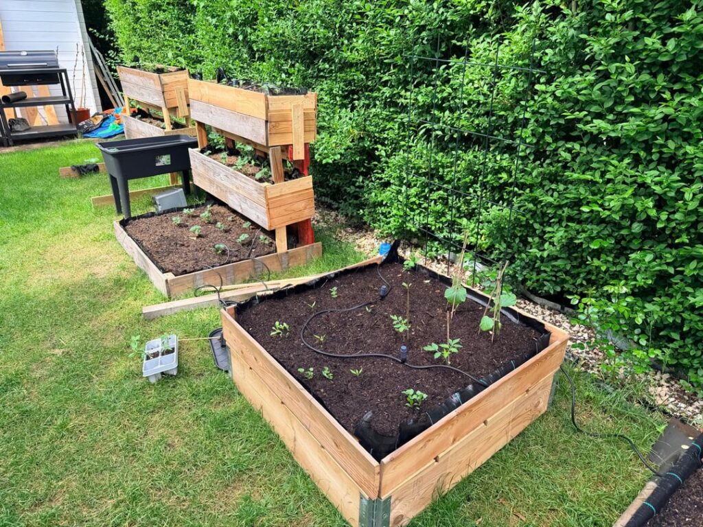 My Vegetable Garden after experimenting last year My Vegetable Garden after experimenting last year