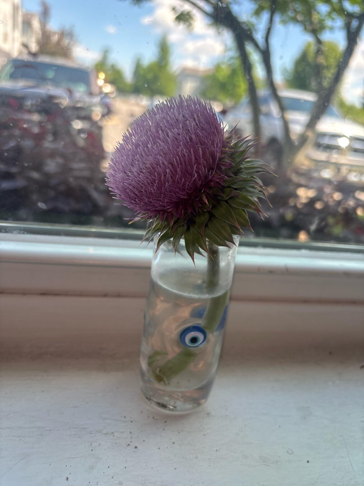 Found in between the highways in Tennessee
