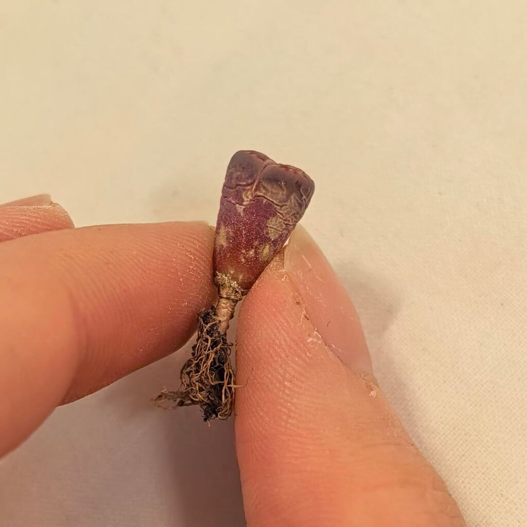 What happened and why is it only on one side? What happened and why is it only on one side?