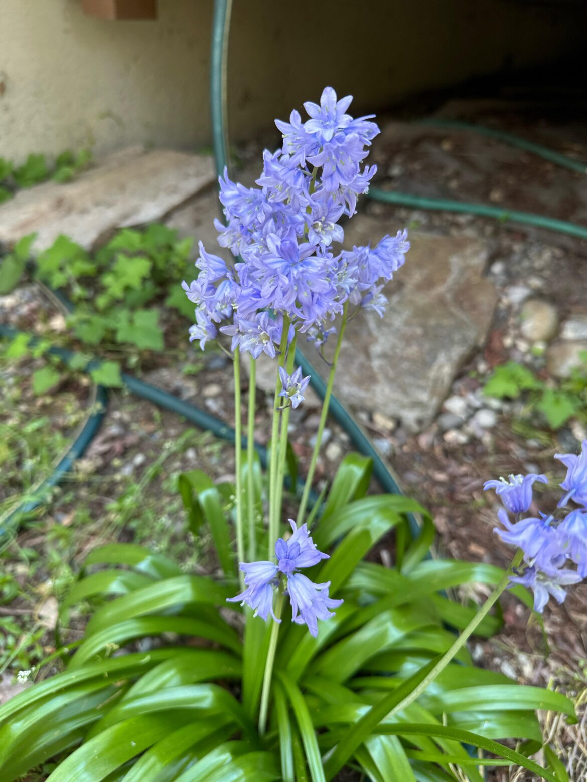 What is this?