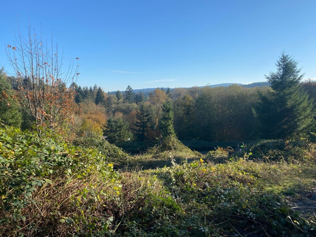 Progress (PNW)