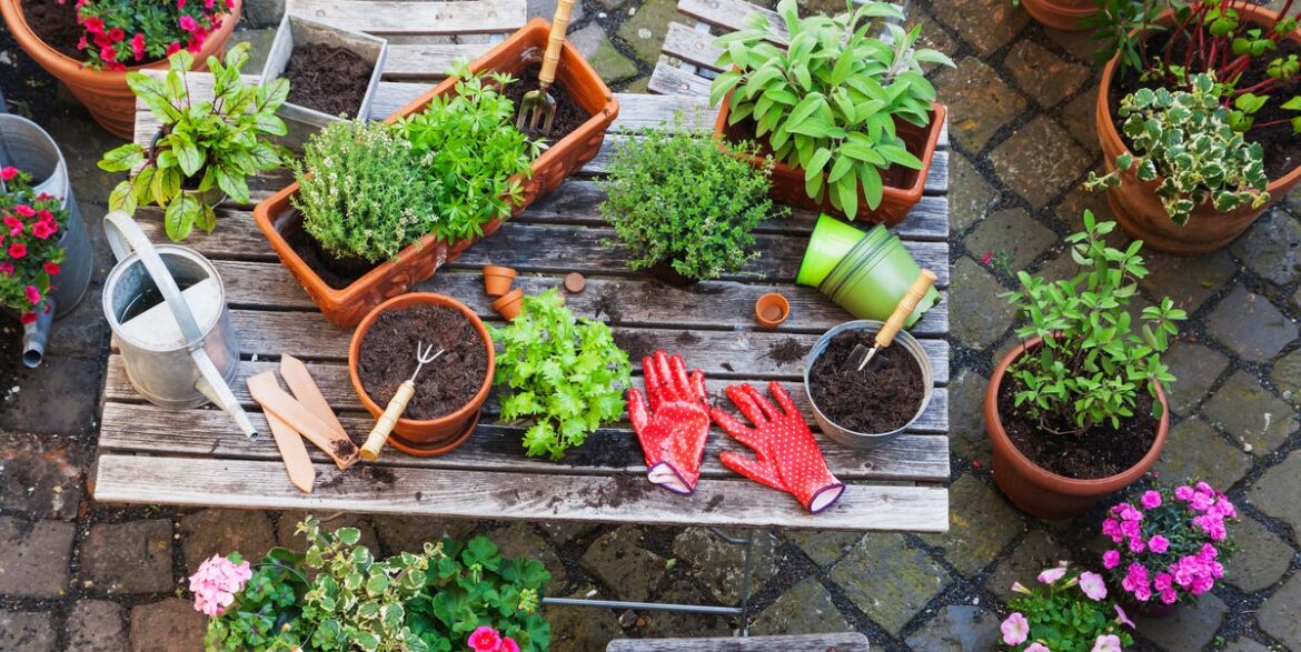 Monty Don’s Trick To Free Up Best Pots For Summer Planting Monty Don’s Trick To Free Up Best Pots For Summer Planting