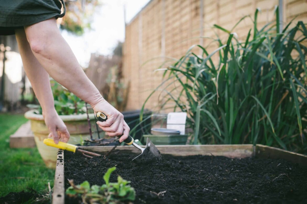 Your 2026 guide to gardening in Wisconsin When gardening in Wisconsin, the conventional line of thinking is that you shouldn’t plant anything until after Memorial Day.