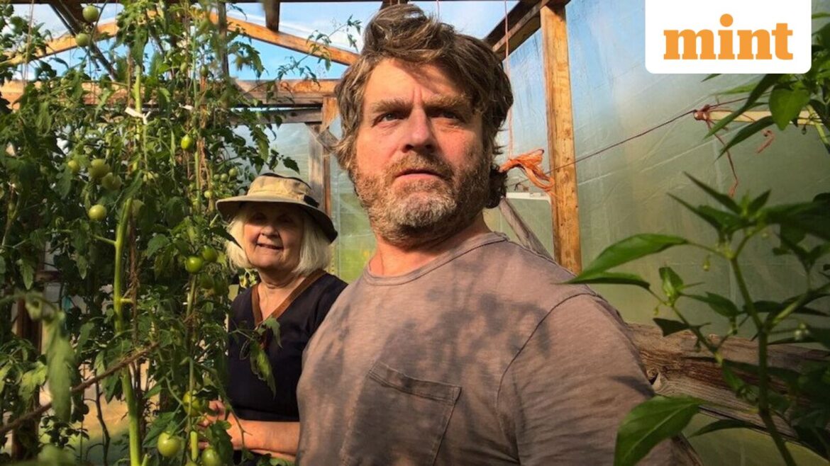 Zach Galifianakis’ curiosity about gardening is infectious mint