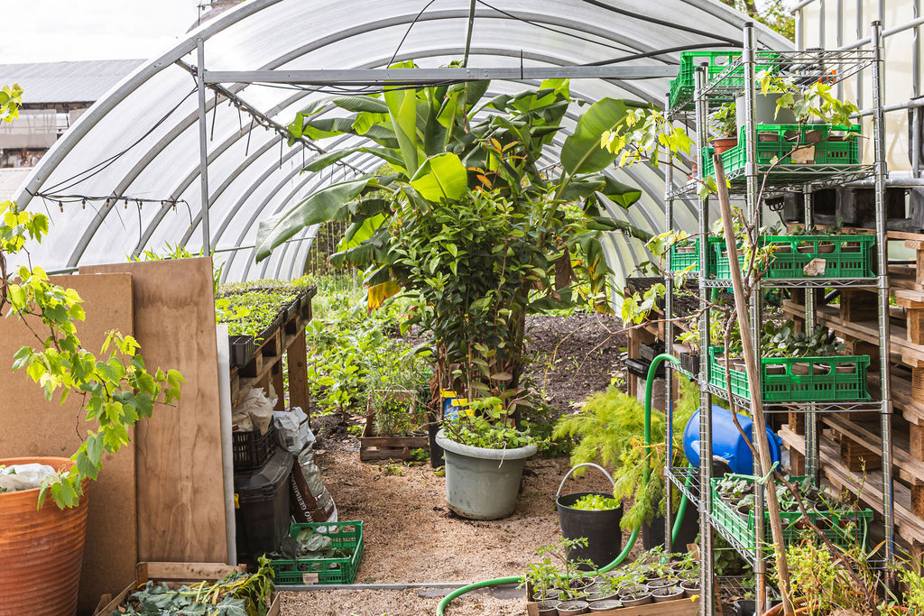 gardening tips during a visit to the Open Gardens Festival