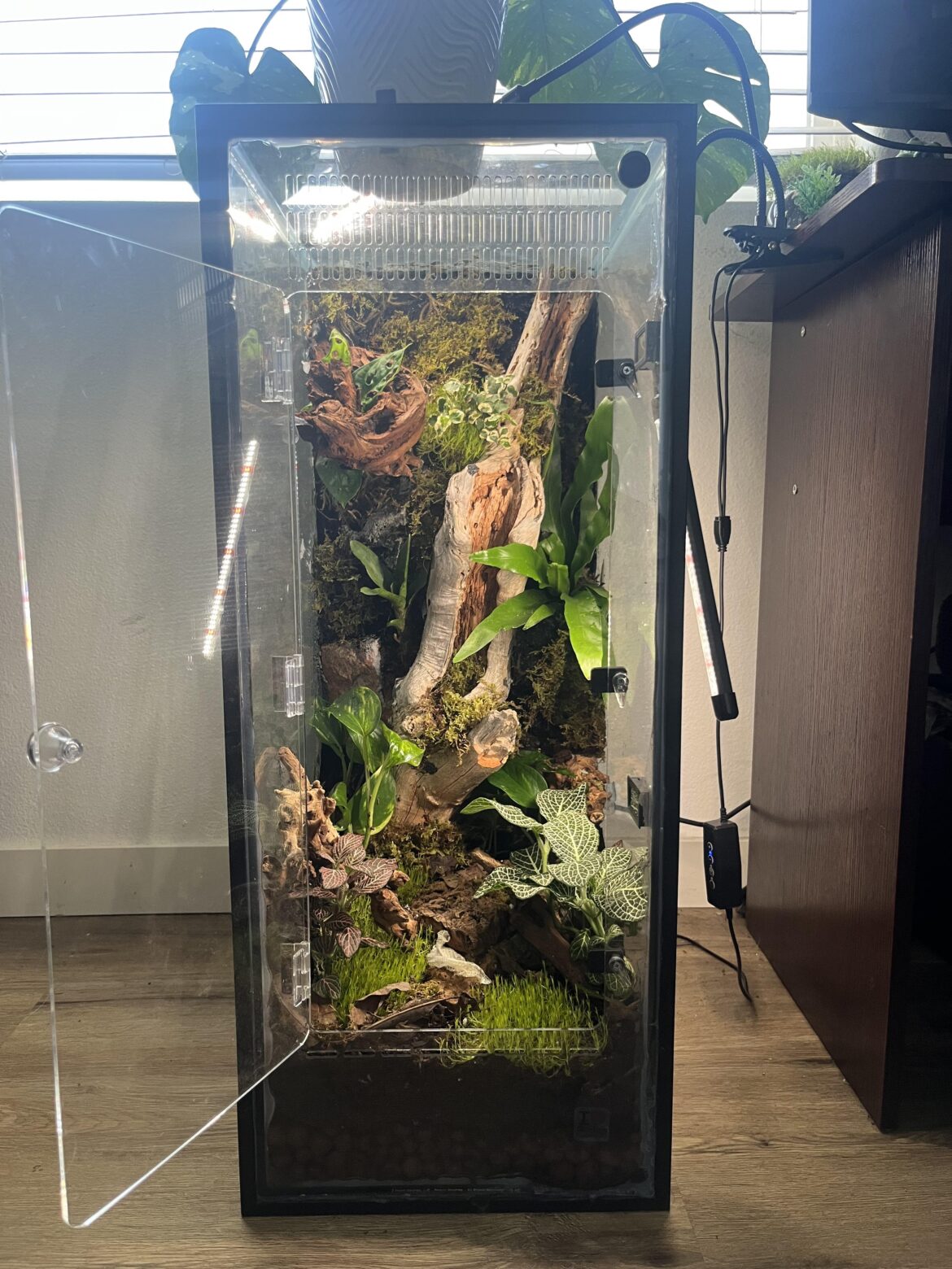 First build, converted 29 gallon