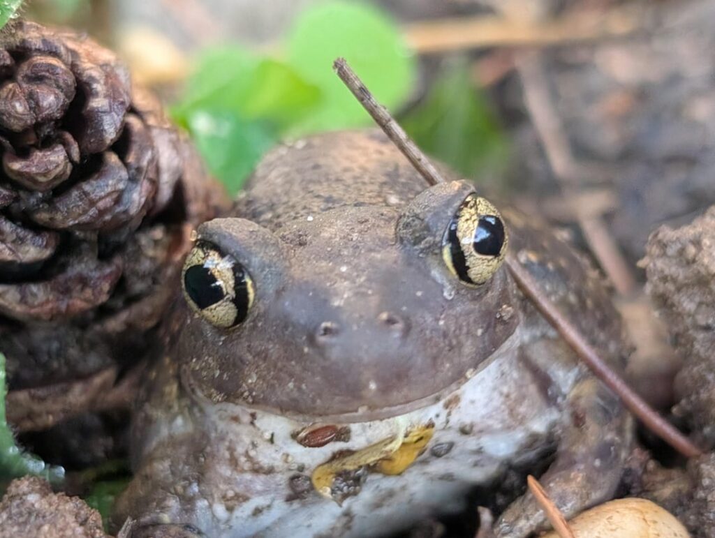 I'm feeling really happy to see this guy again