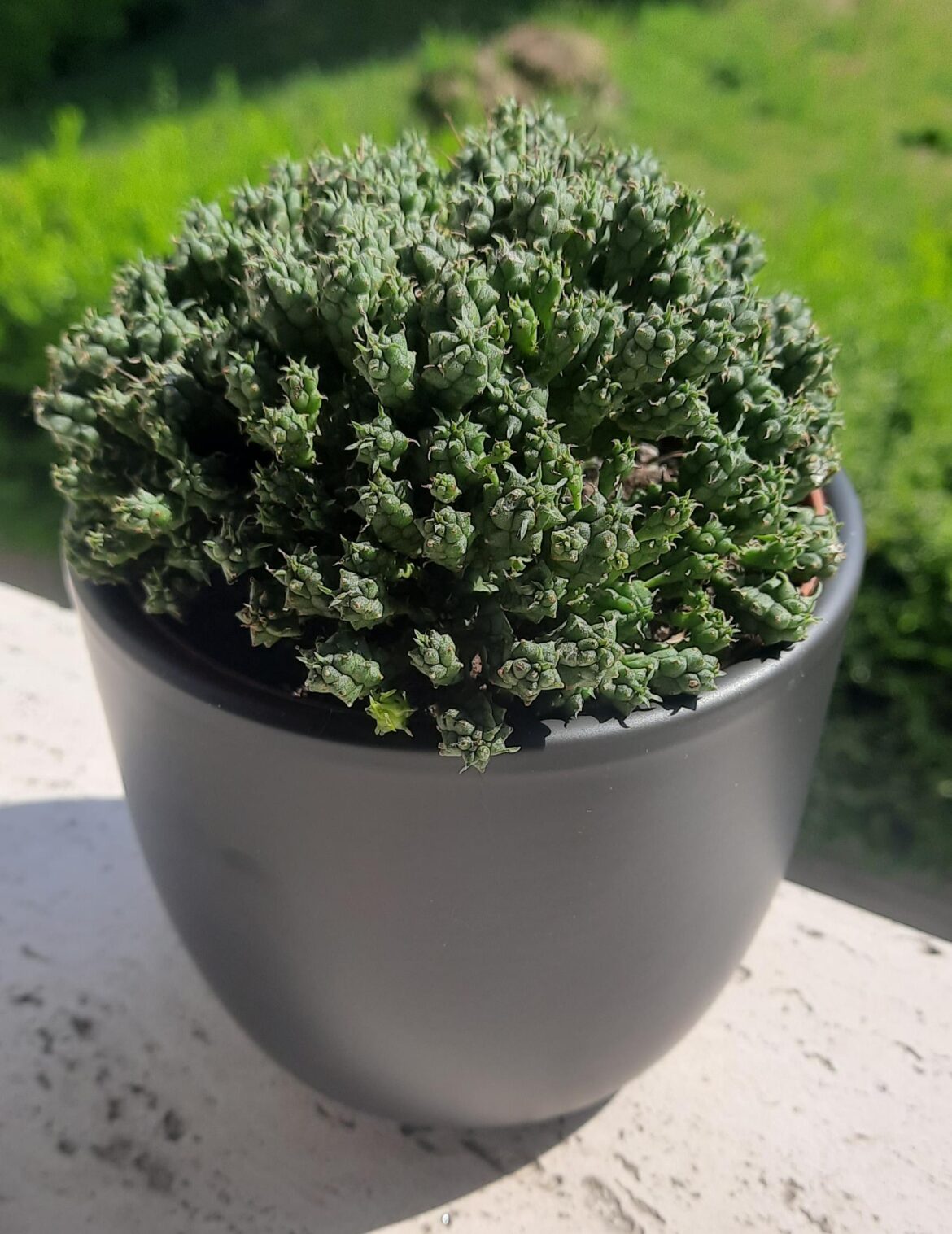 Need ID please