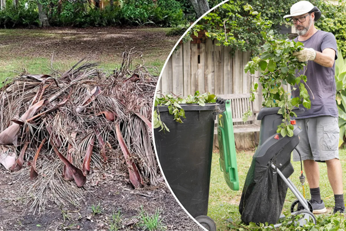 Council warns residents of $333 fines for dodgy garden act Council warns residents of $333 fines for dodgy garden act