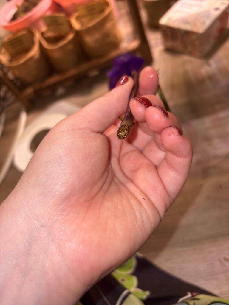 Does this propagation still have hope?