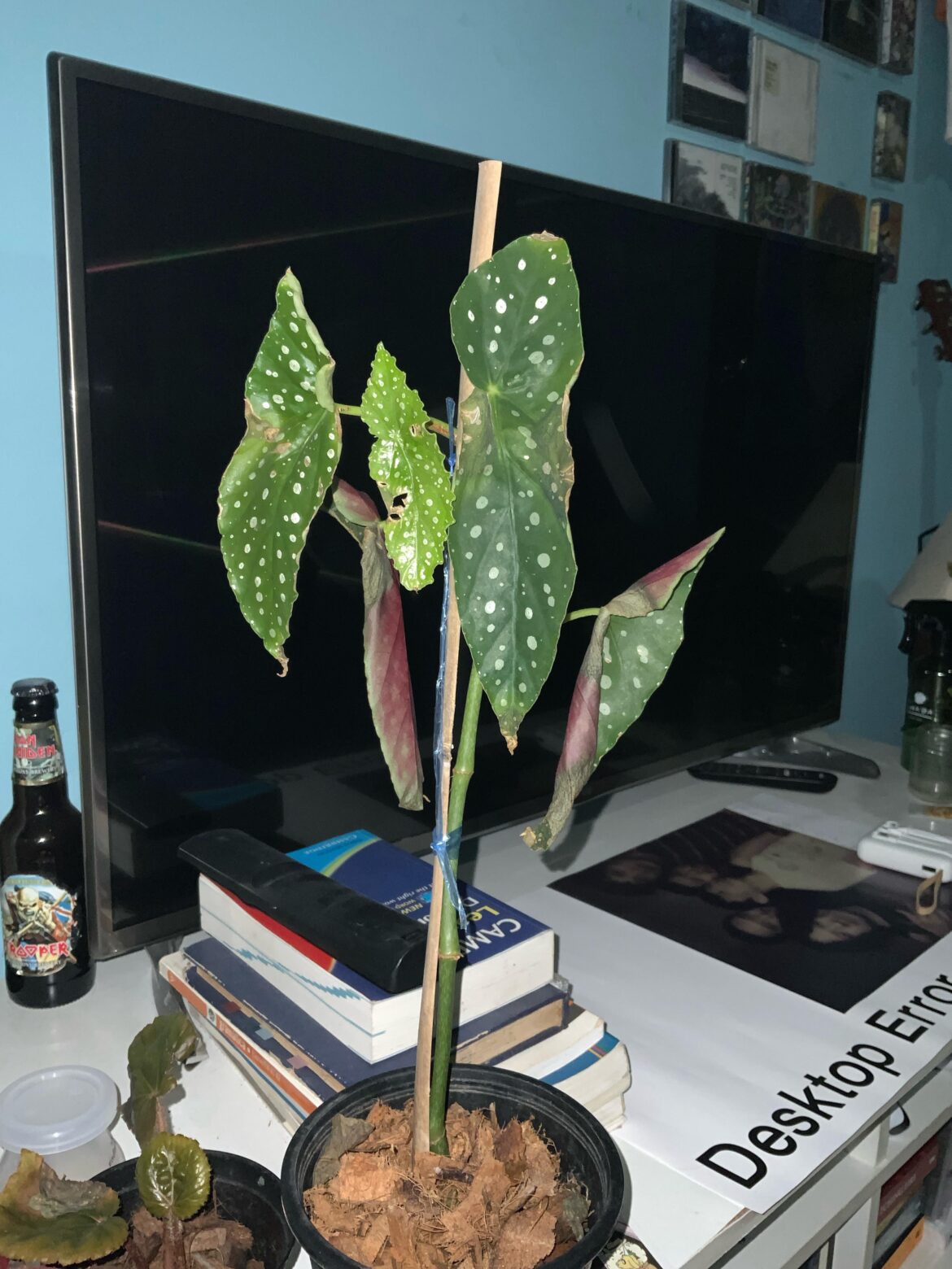 It’s looks weird, help! It’s looks weird, help!