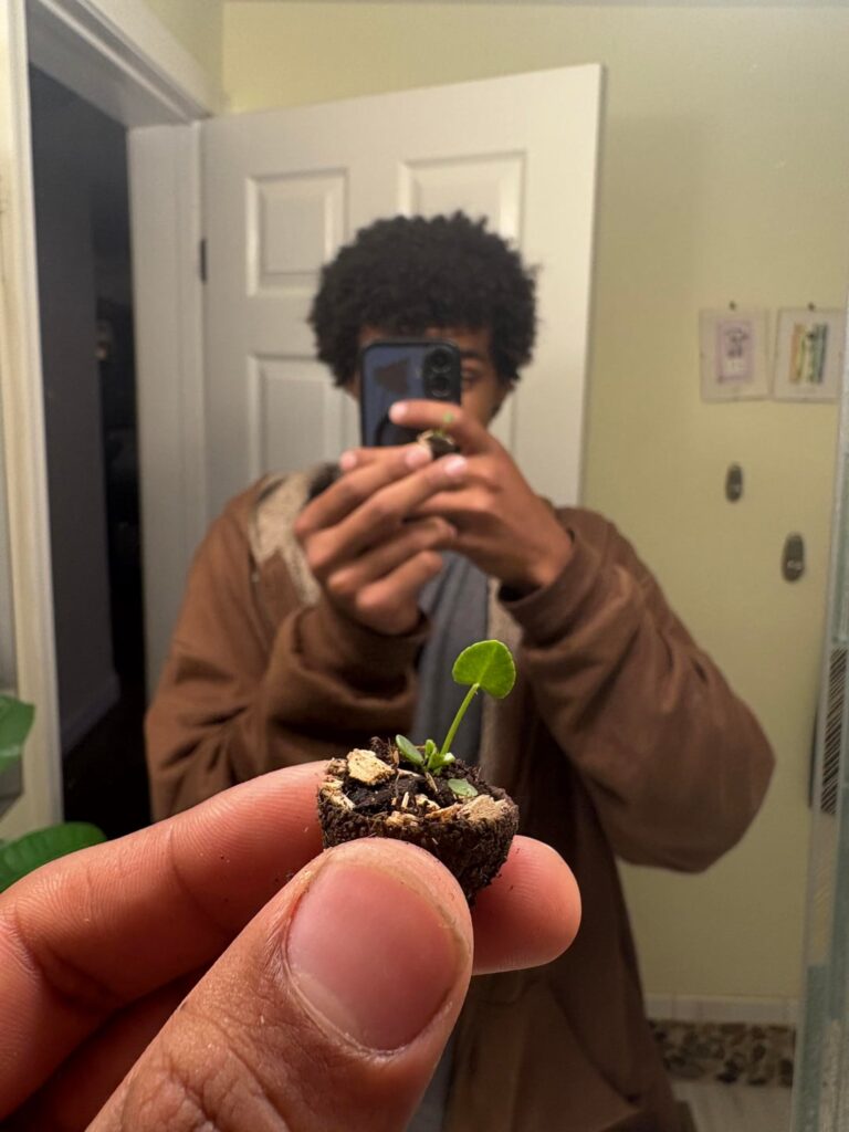 class, meet picori🌿🥹