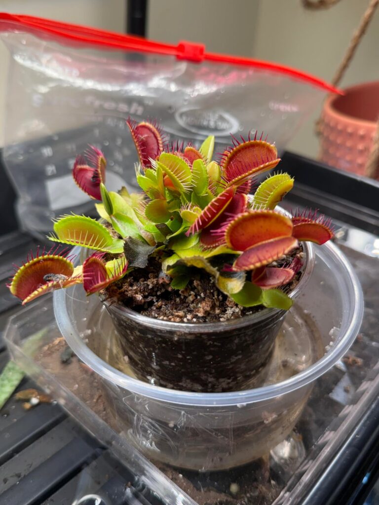 The difference good lighting can make in just 2 months