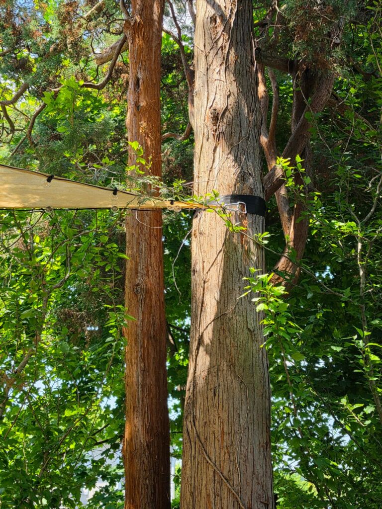Advice on how I hung my shade sail.