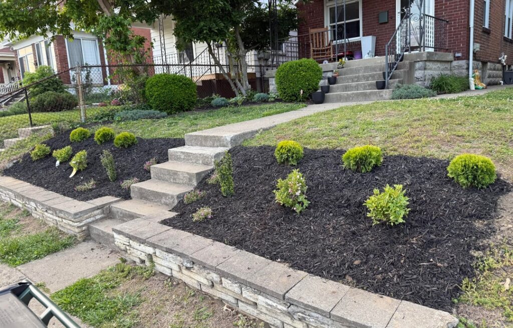 UPDATE – Front slope – Before & After – Barberry Be Gone UPDATE - Front slope - Before & After - Barberry Be Gone