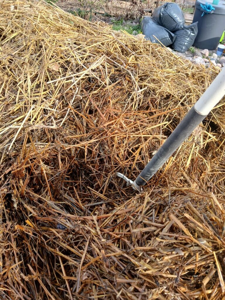 Spring is here and I turned the straw and pumpkin monster