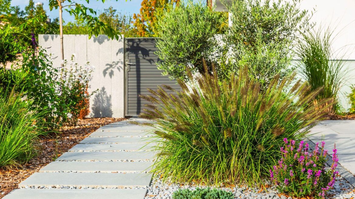 A Low-Maintenance Garden That Needs Just 10 Minutes a Week simple garden design with ornamental grasses, gravel and pavers