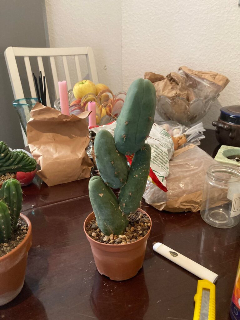 First time at local nursery