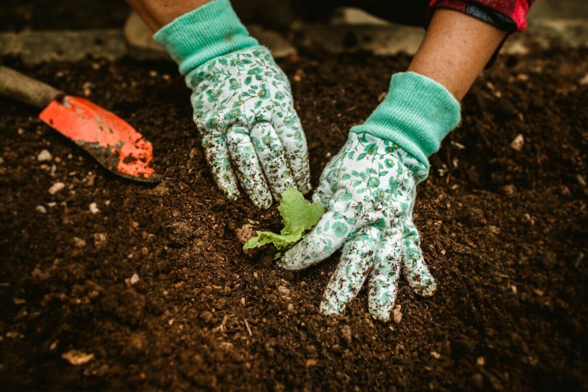 Nobody talks about why so many adults in their fifties suddenly start gardening, and it isn’t a hobby or a retirement cliche, it’s the first time in decades they get to tend something that doesn’t talk back, doesn’t keep score, and doesn’t need them to perform hands in garden soil