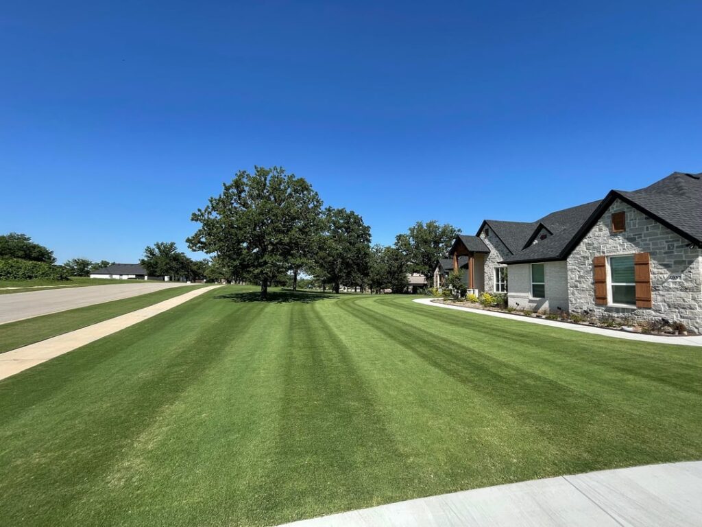 My bermuda is striping pretty well for early May.